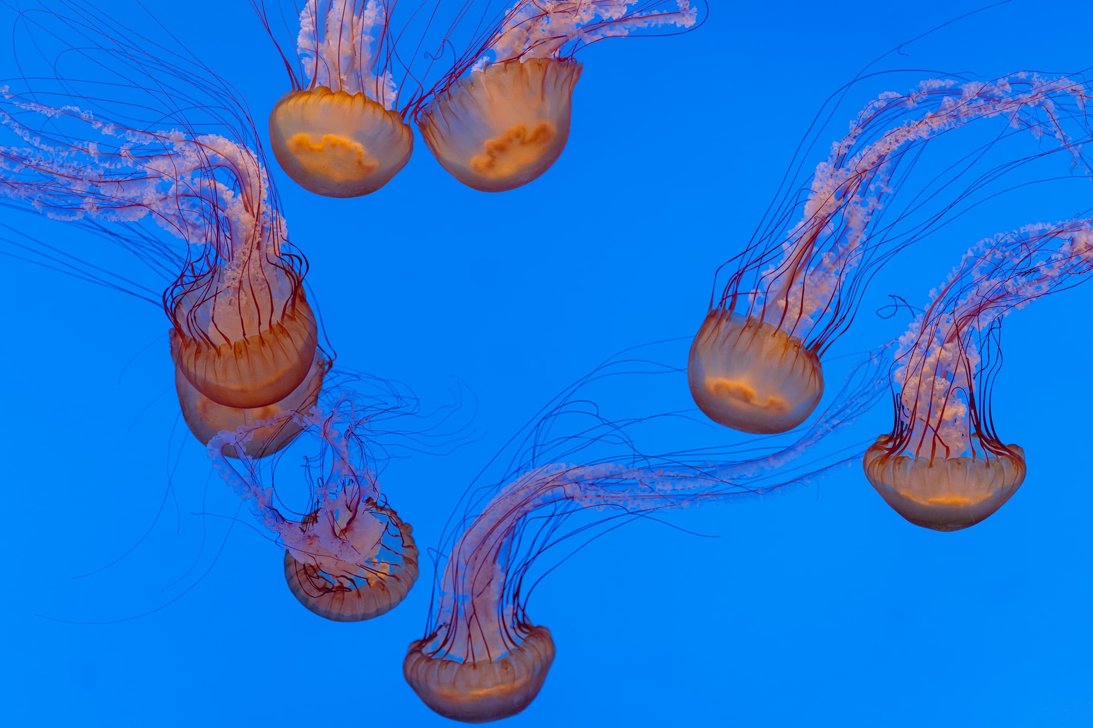 Baltimore National Aquarium